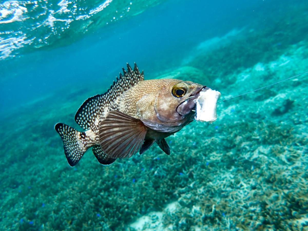 Blue Ocean Resort Ishigaki (Okinawa) Exterior foto
